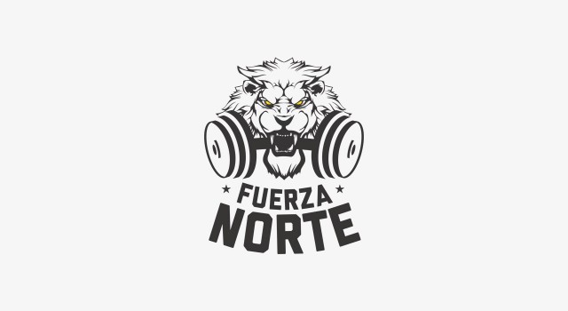 Fuerza Norte