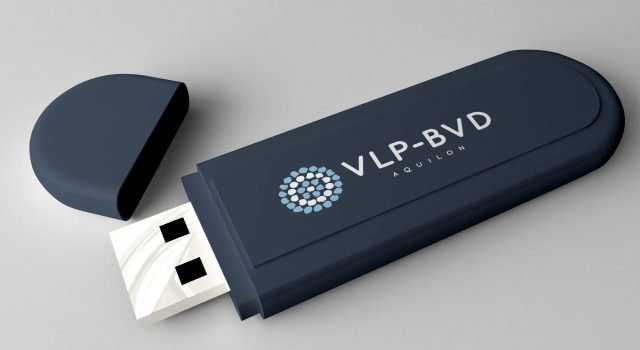 VLP-BVD Aquilón CyL