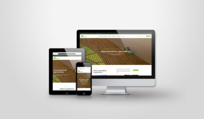 Diseño web en Leon Biocelama